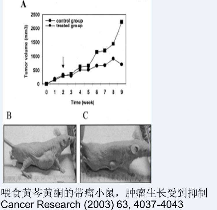 最新天然素人无毛现,最新天然素人无毛现象，科普与探讨