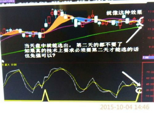 美团股票，携手共游自然美景的旅程启程了