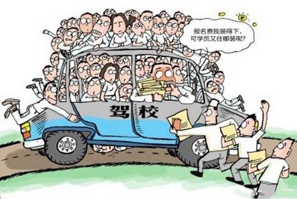 最新驾校学习指南，小明的学车日常趣事探索