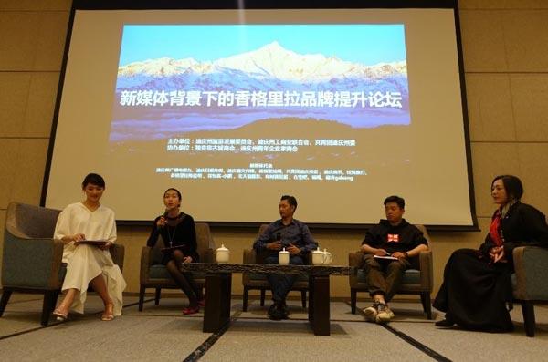迪庆招聘信息揭秘，高原上的职业机遇探索