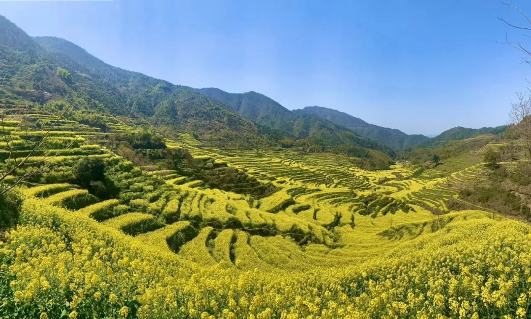 商业空间规划设计 第290页