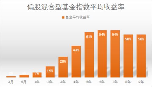 股票型基金科技革新，前沿投资利器体验之旅