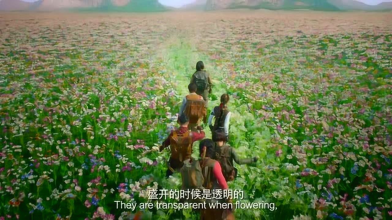 苦瓜电影最新，自然美景探险之旅，探寻内心平和宁静的奥秘