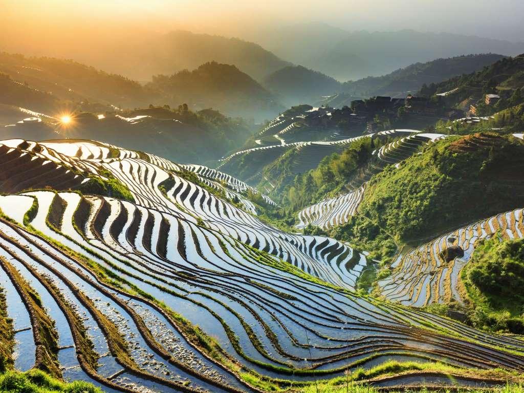 自然美景的心灵之旅，最新写则分享