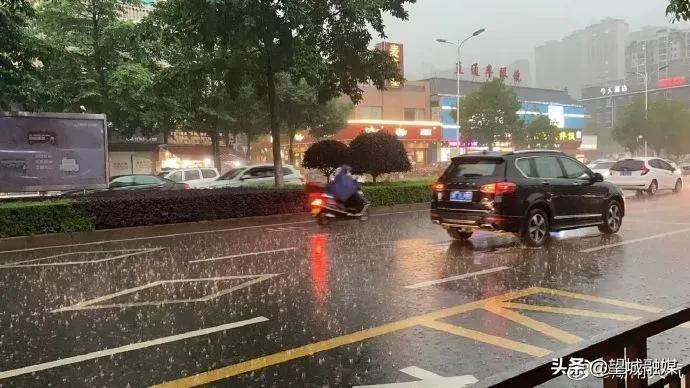 品牌形象策划与设计 第184页