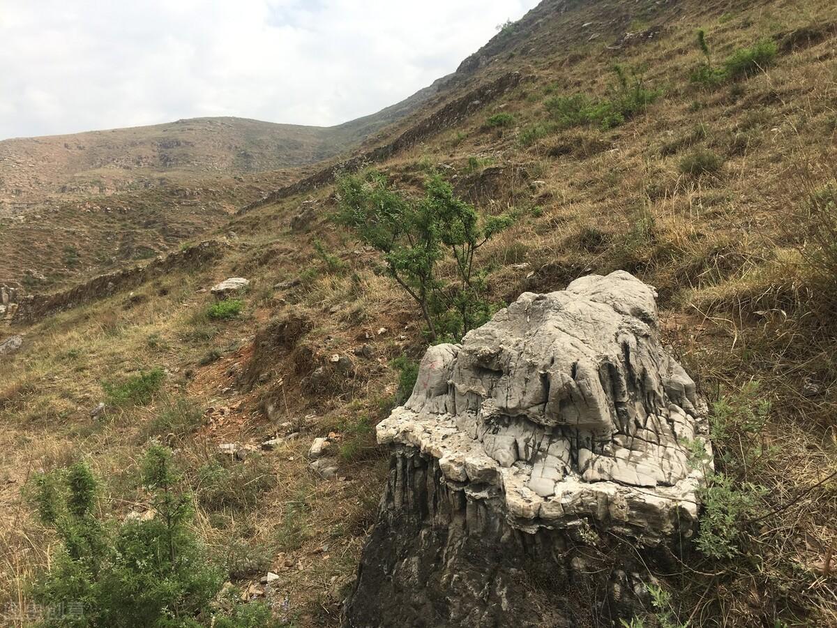 千年情缘再现!最新白娘子传奇闪耀登场