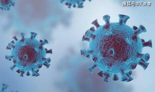 万盛最新新闻,拥抱自然,心灵宁静之旅