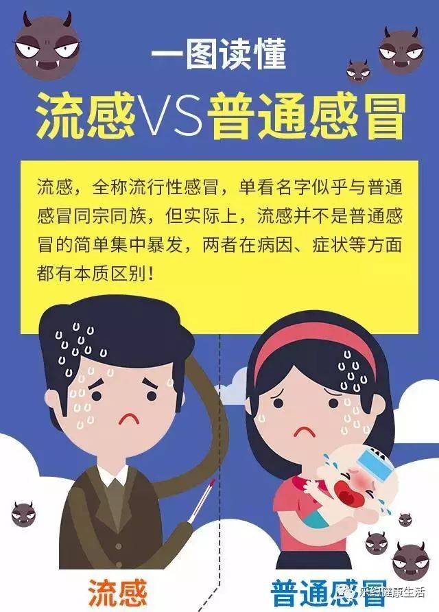 南方流感最新动态,温情日常中的抗击战