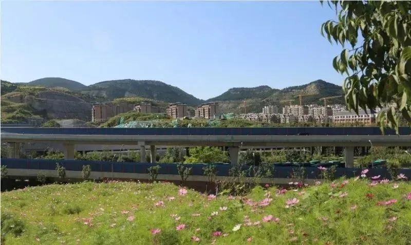 济南田庄最新动态更新