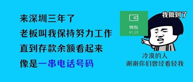 新昌本地最新招工信息及地区就业状况深度解析