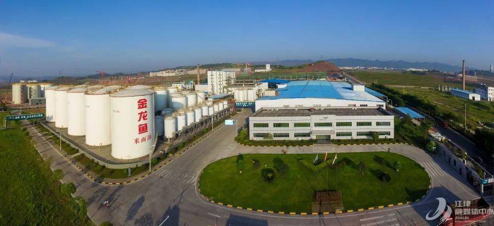 江津德感最新招聘信息揭秘,岗位空缺与求职指南✨