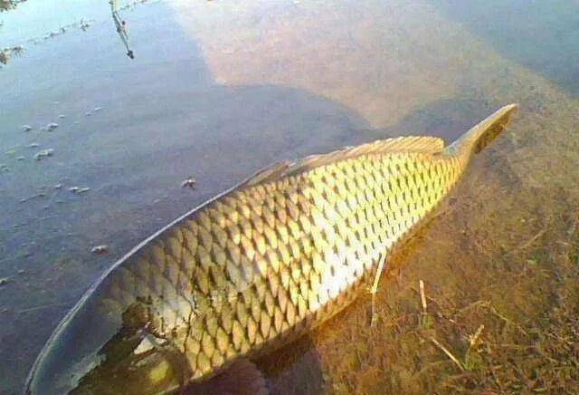 怀远教育网最新通知,探索自然美景的旅行,内心平和之地的寻觅