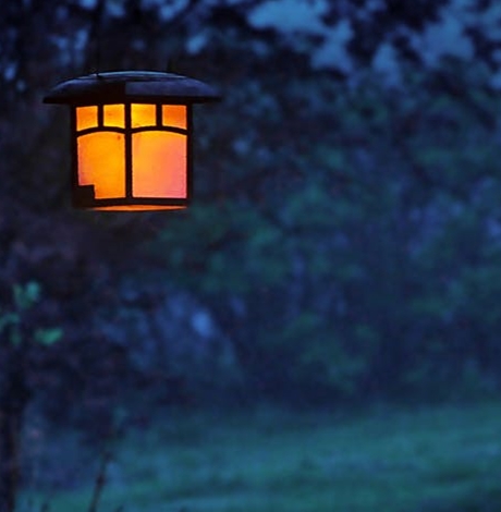 闹闹女巫店最新运势预测,自然美景中的旅行奇遇开启!