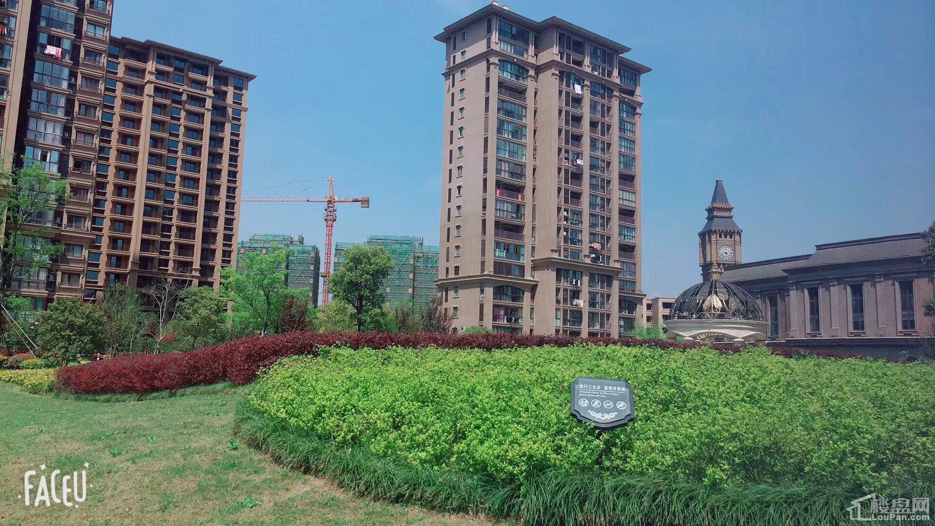 长兴英伦都市最新房价及其分析概述