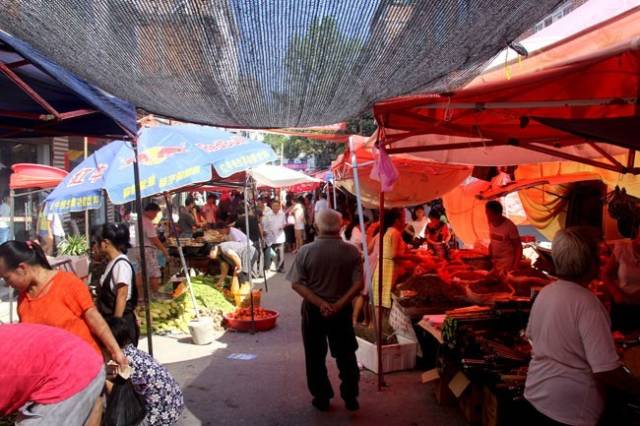 萍乡乡镇最新赶集时间与日,一场热闹的赶集之旅