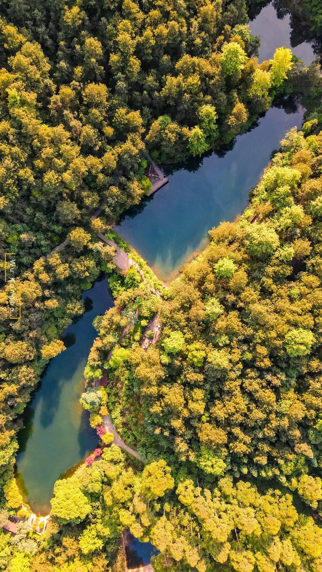 科技巨献重塑观影体验,最新主视角电影在线观看