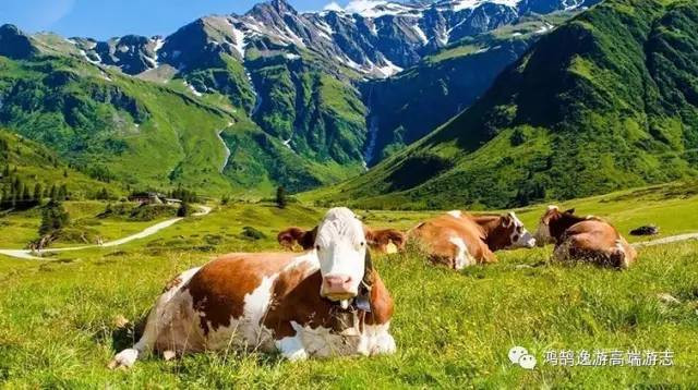 欧洲难民最新动态与心灵之旅,追寻自然美景的启程