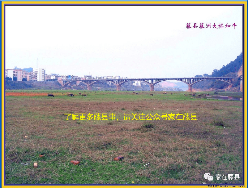 藤县河东招工信息更新速递🚀📢