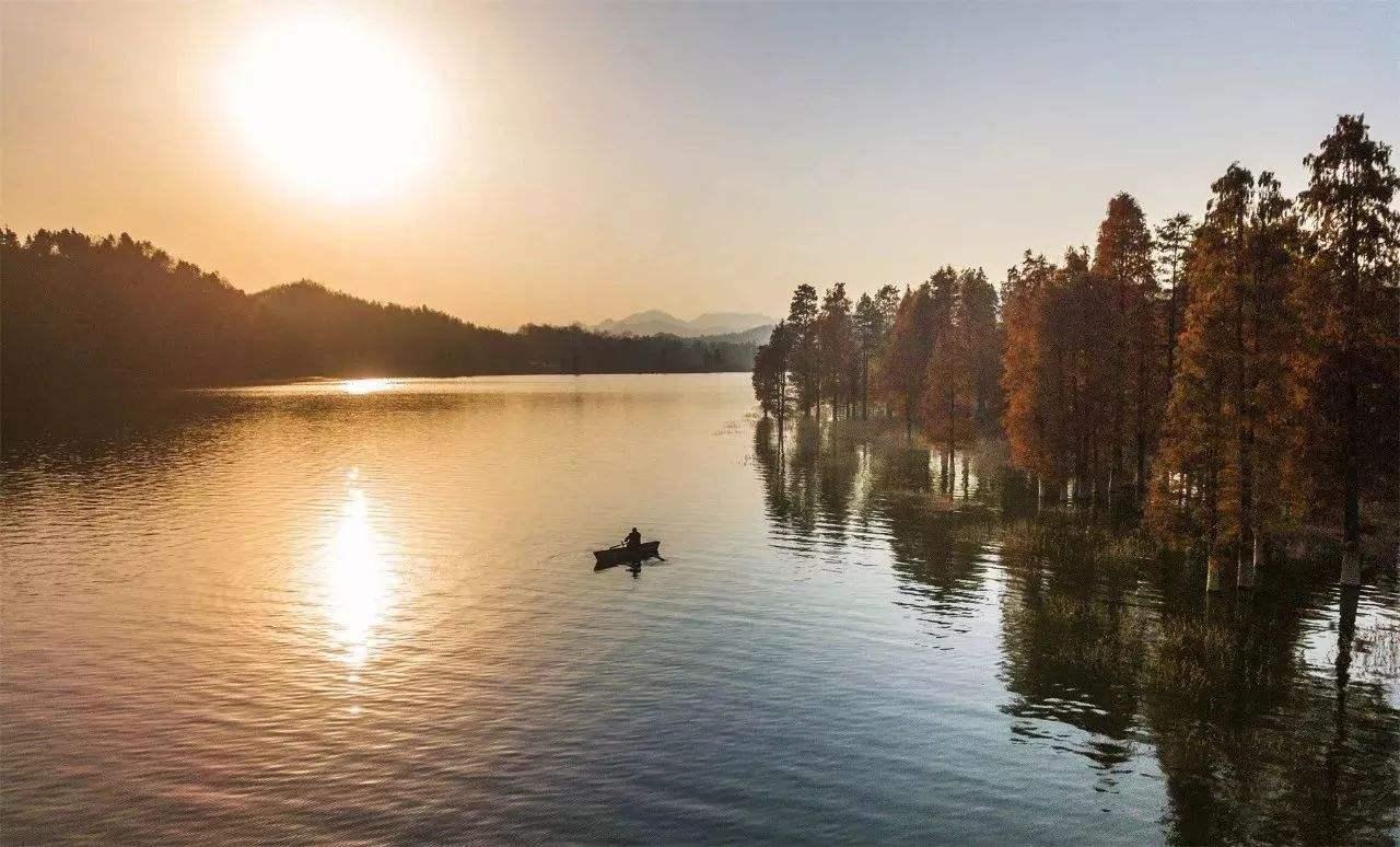 安徽水利最新动态更新 🌊