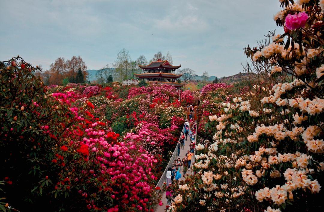 最新贵州交通地图,最新贵州交通地图,解读贵州的交通脉络