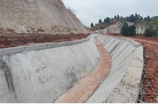 蓬溪武引最新动态更新🌟