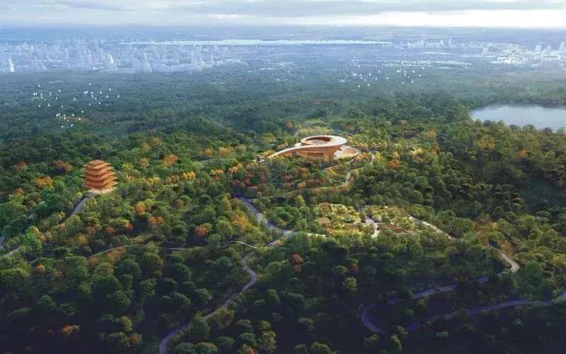 成都东进战略最新动态更新