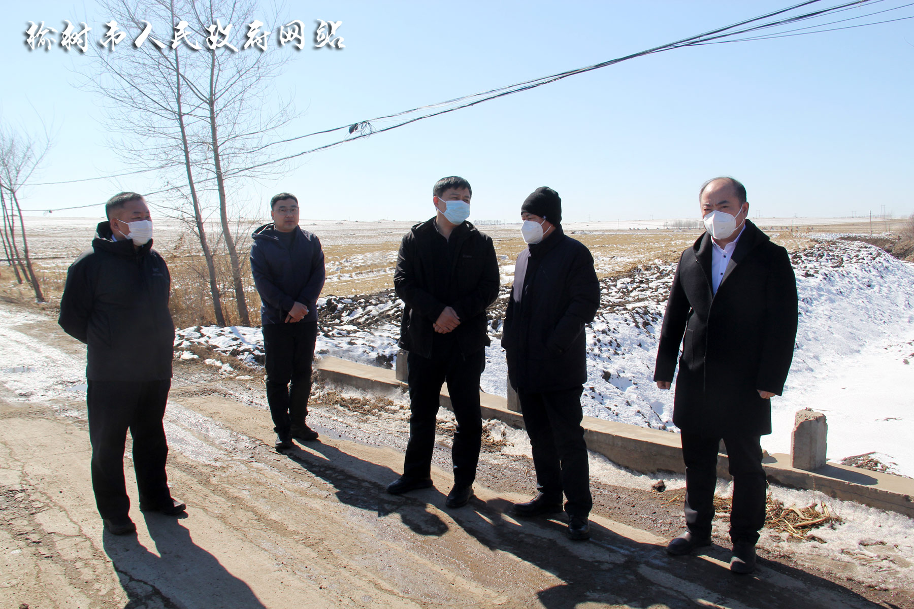 榆树新闻最新动态,观点阐述与解析