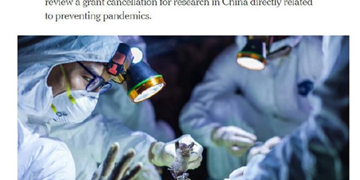 比特病毒最新动态,探索私密大自然与内心平静的奇妙旅程