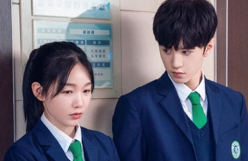 娱乐圈最新宠文,星光下的甜蜜爱情故事