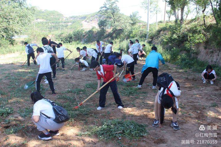 敖水平最新动态,学习之光引领前行之路