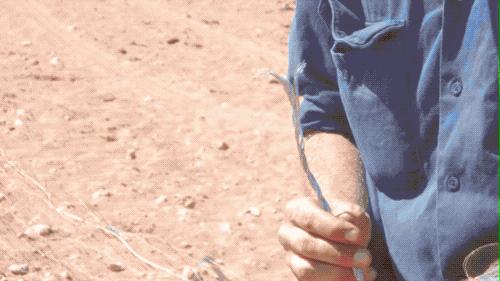 牛栏奶粉最新事件曝光,2013年回顾与解析