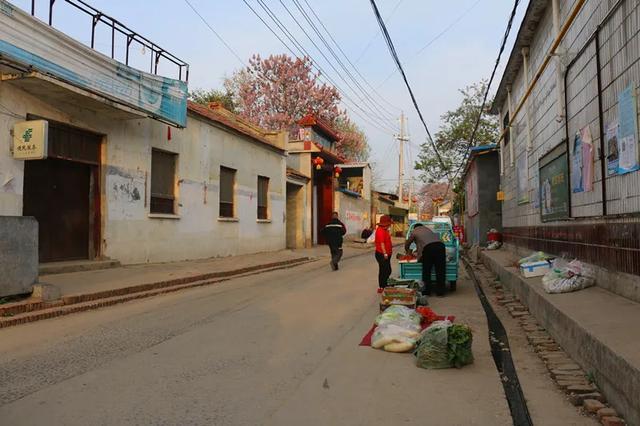 濮阳最新招聘信息,启程探索自然美景,寻找内心平静之路