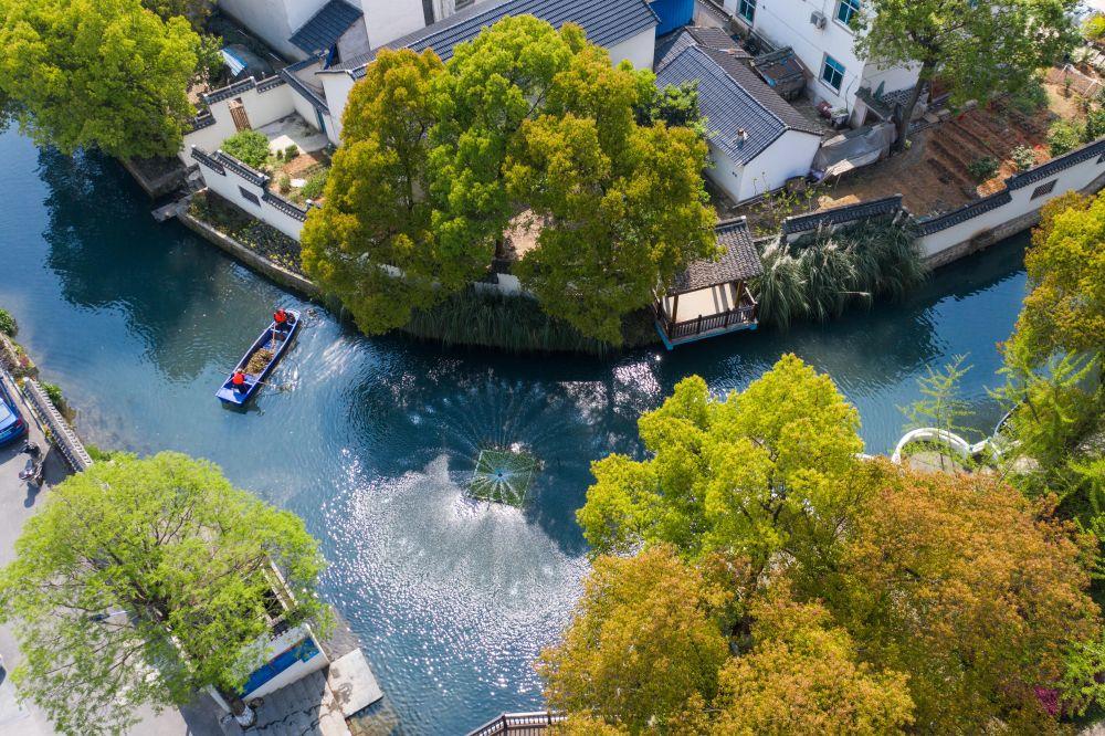 长兴最新学区划分,塑造未来蓝图与励志故事同行