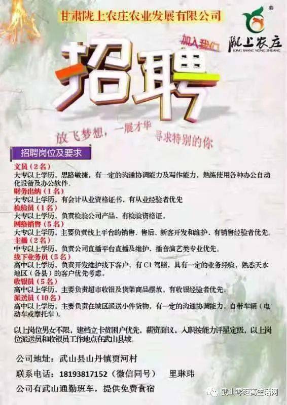 祝桥最新招聘信息揭秘,小巷中的独特风味探索之旅