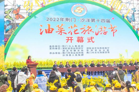 湖北油菜籽最新价格分析与探讨