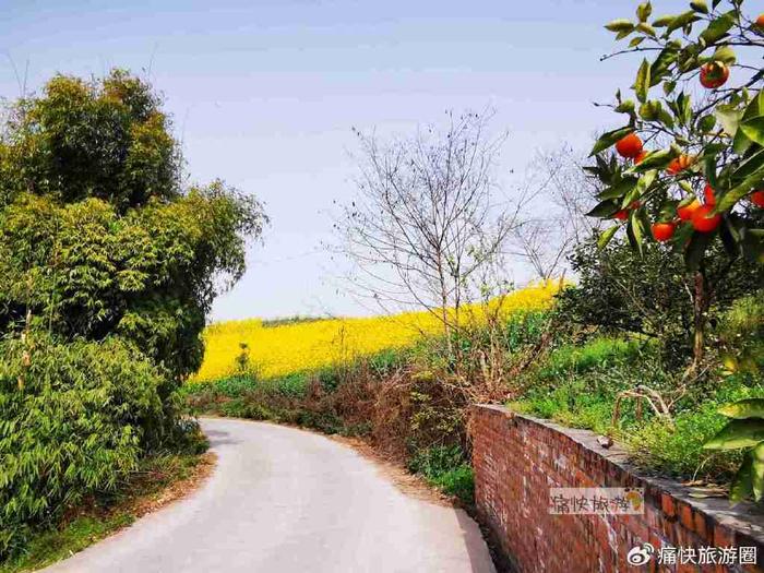 艳满乡村最新章节,艳满乡村最新章节,小巷深处的独特风情