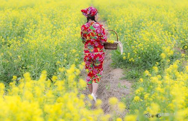 艳满乡村最新章节,艳满乡村最新章节,小巷深处的独特风情