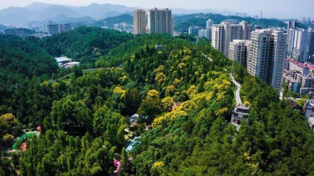 十堰最新房价揭秘，巷弄深处的隐藏宝藏