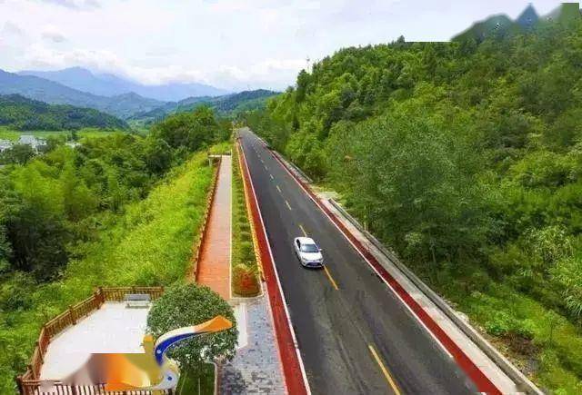 金阳大道最新动态，友情故事与进展更新