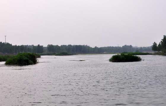 青州弥河最新招聘,青州弥河最新招聘,人才汇聚的繁荣之地