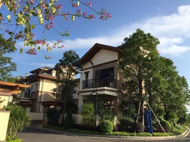 仁湖花园最新房价揭秘,巷弄深处的隐藏宝藏与独特风情展示