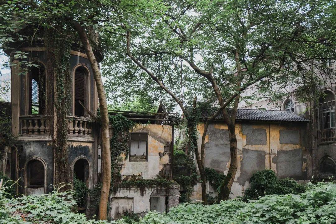 仁湖花园最新房价揭秘,巷弄深处的隐藏宝藏与独特风情展示