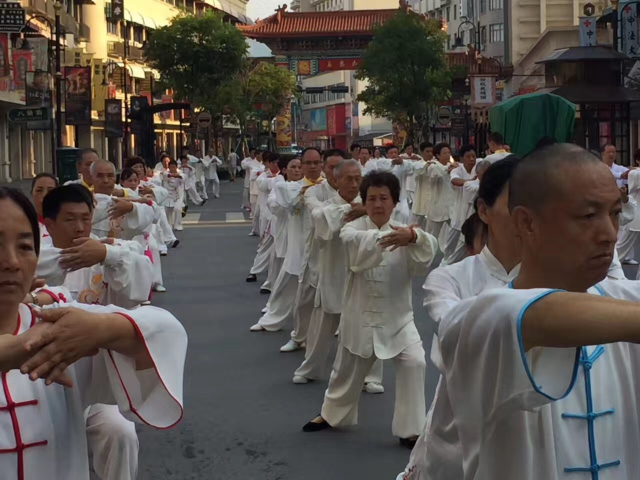 横店东磁最新传闻,心灵与自然的奇妙交汇