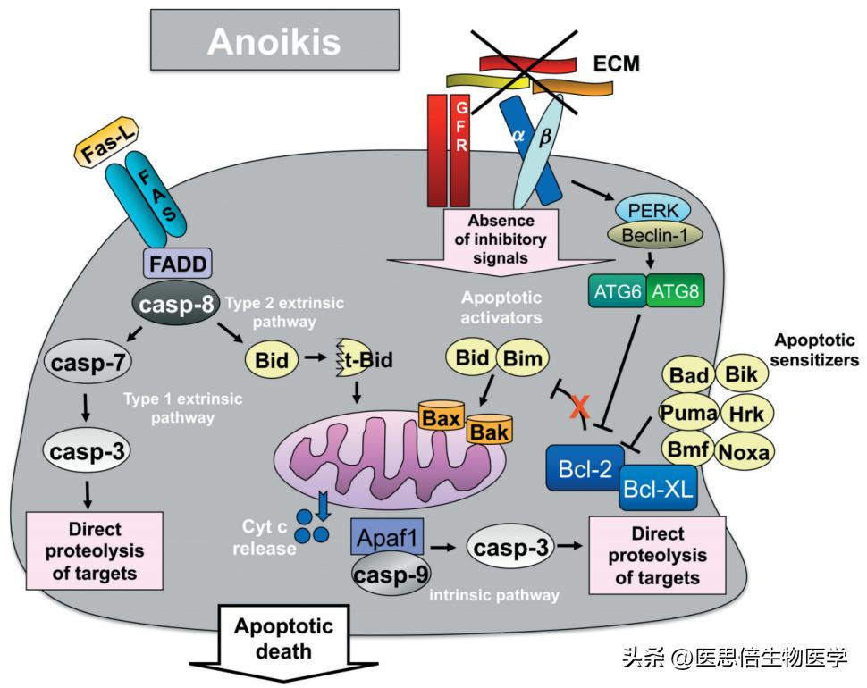 🌟揭秘2024最新经济热点,洞悉未来发展趋势!🌟