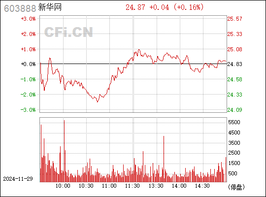 新华网最新股价及查询步骤指南