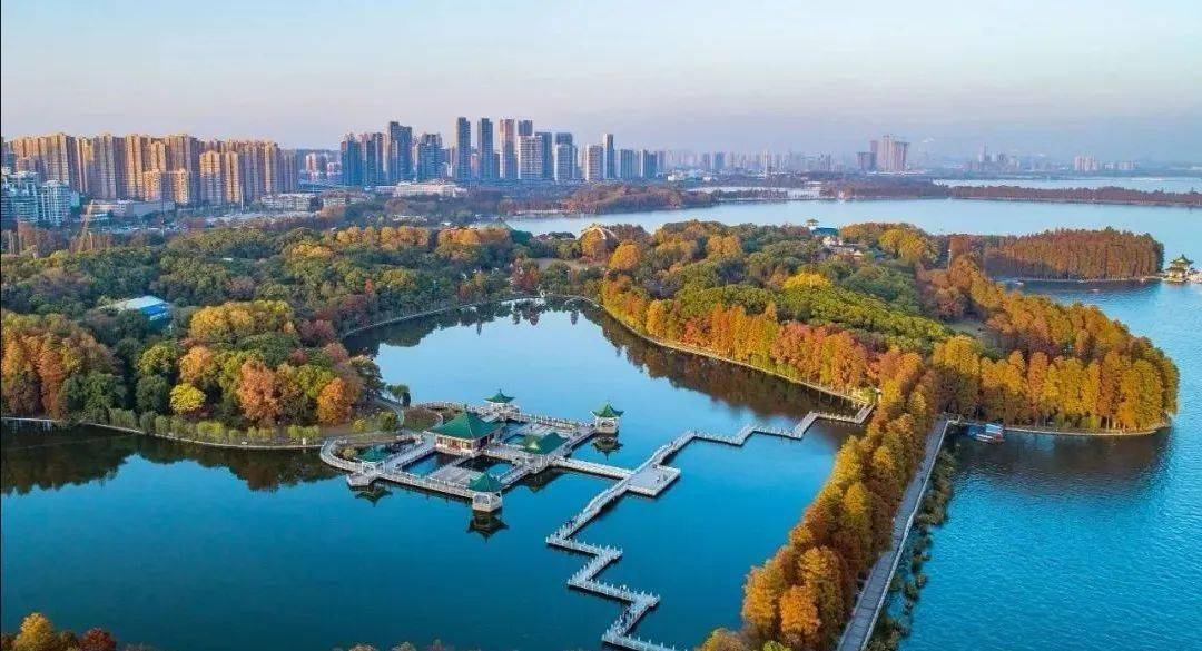 苏堤杭城最新动态，热议城市建设进展