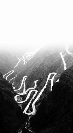 最新幽默段子与自然美景的奇妙之旅，寻找内心平和的欢乐时光