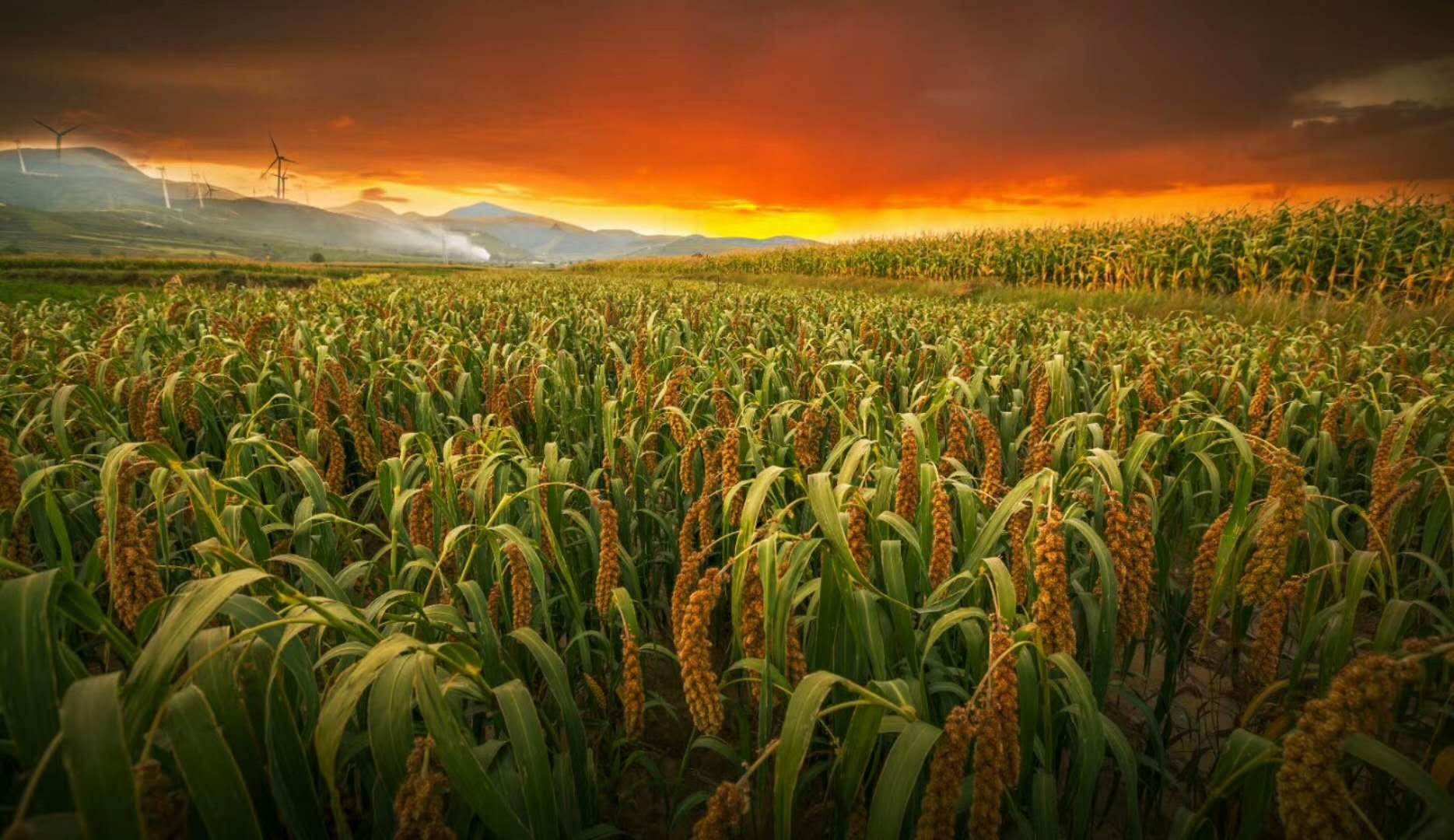 忻州最新会计招聘启幕，开启职业新篇章