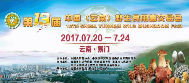勐海县最新招聘,科技革新引领未来生活新篇章