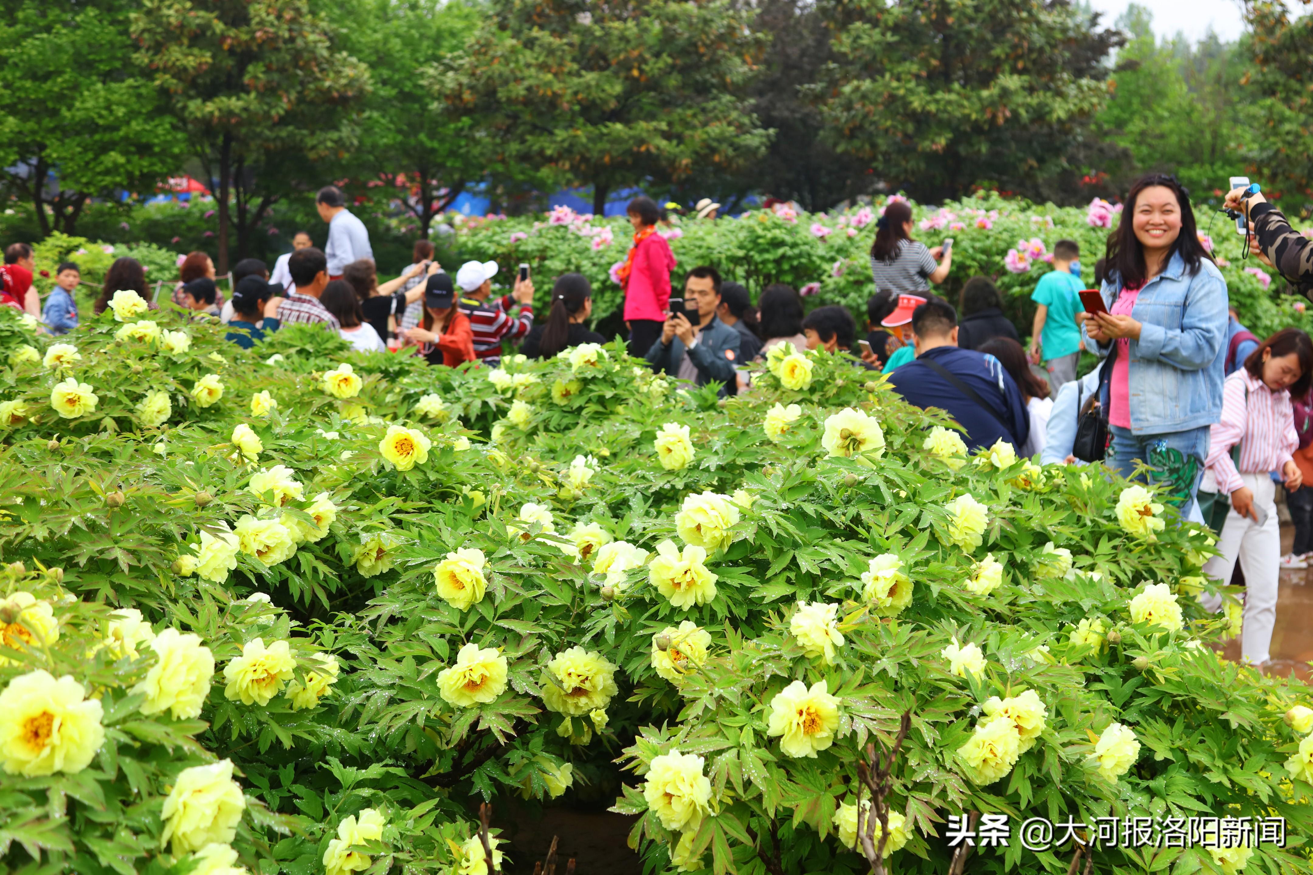 洛阳医院最新招聘信息，科技重塑医疗，开启健康新纪元的大门